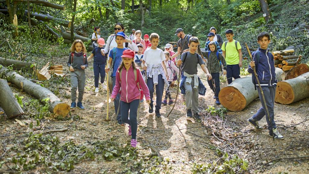 Aargau Tourismus lanciert schweizweit erste Schulreise-Plattform