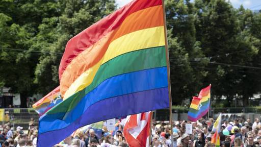 Gemeinderat will Zürich in Regenbogenfarben leuchten lassen