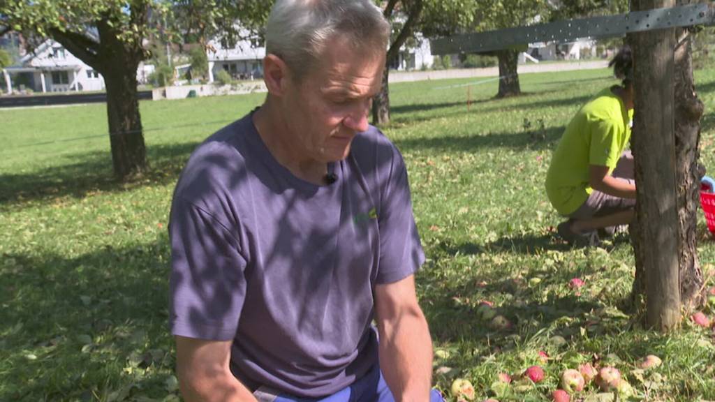 Heftiger Sturm fegt über den Thurgau: Die Schäden nach dem Hagel-Schock