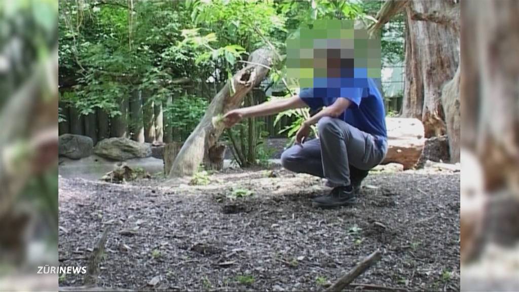 Zoo Zürich: Verstorbene Pflegerin bleibt mit grossem Herz für Tiere in Erinnerung