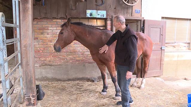 Gnadenhof in Sulz muss geräumt werden