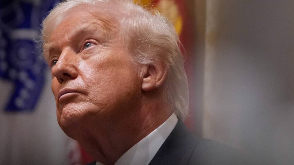 ARCHIV - US-Präsident Donald Trump nimmt an einer Kabinettssitzung im Weißen Haus teil (Archivbild). Foto: Julia Demaree Nikhinson/AP/dpa