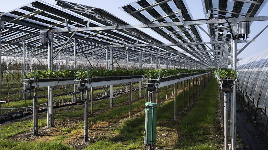 Der Kanton Zürich fördert mit 13,5 Millionen Franken Pilotprojekte im Energiebereich. Berücksichtigt werden unter anderem innovative Projekte, bei denen auf landwirtschaftlich genutzten Flächen erneuerbarer Strom produziert wird. (Symbolbild)