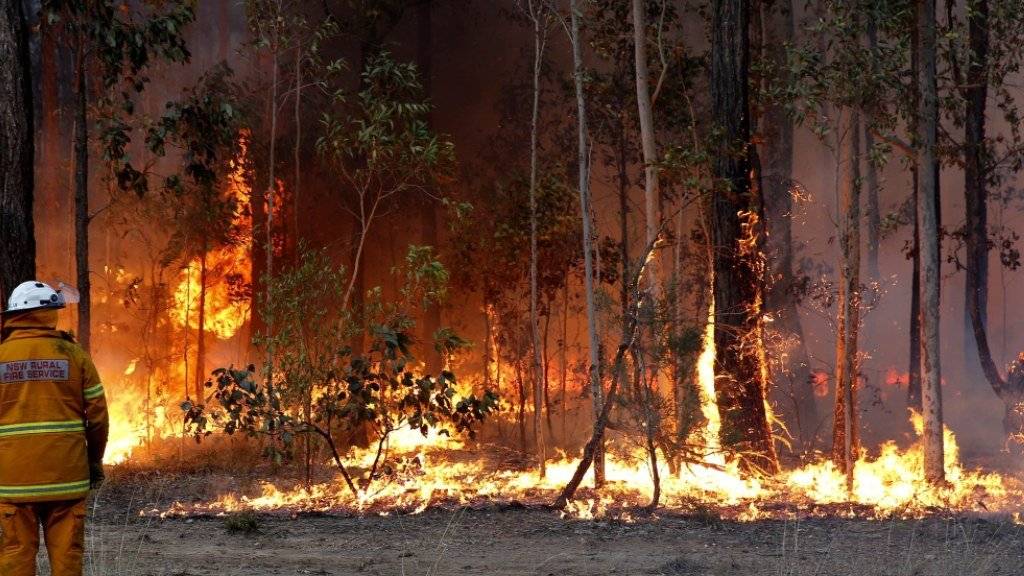 Buschbrände in Australien wegen dem warmen Winterwetter. (Archiv)