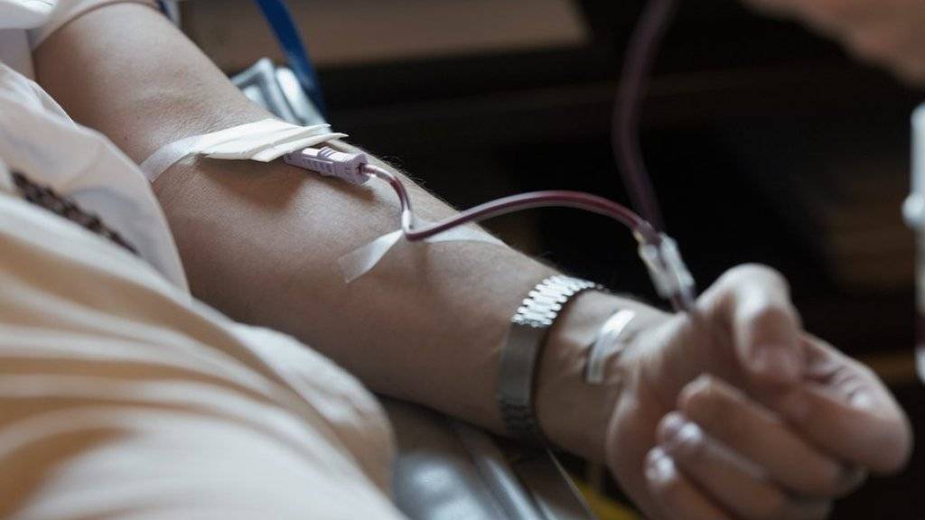 Schwule Männer dürfen künftig Blut spenden, wenn sie ein Jahr lang keinen Sex mehr gehabt haben. (Symbolbild)