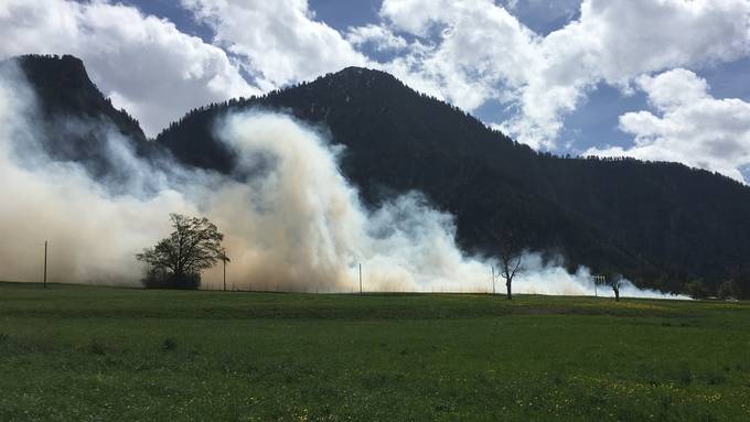 Feuer zerstört ein ganzes Erdbeerfeld