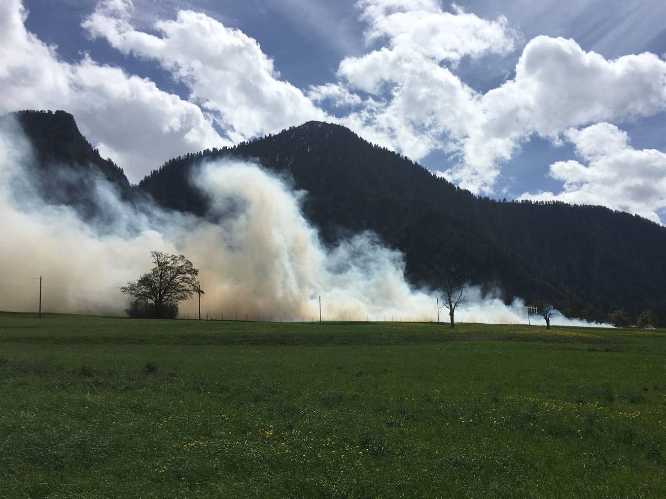 Rund eine Hektare Wiese wurde durch die Flammen zerstört. (Bild: Kantonspolizei St.Gallen)
