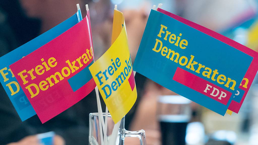 ARCHIV - Das Ergebnis der FDP-Mitgliederbefragung gilt als wichtiges Stimmungsbild. Foto: Armin Weigel/dpa