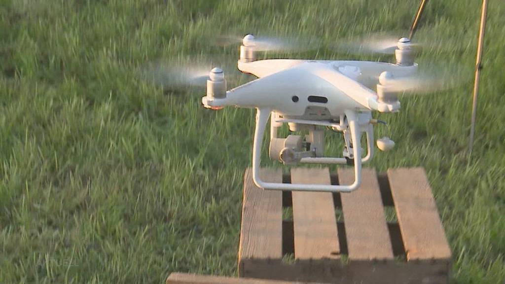 Beim Mähen Rehkitz verletzt: Zwei Solothurner werden wegen fahrlässiger Tierquälerei verurteilt