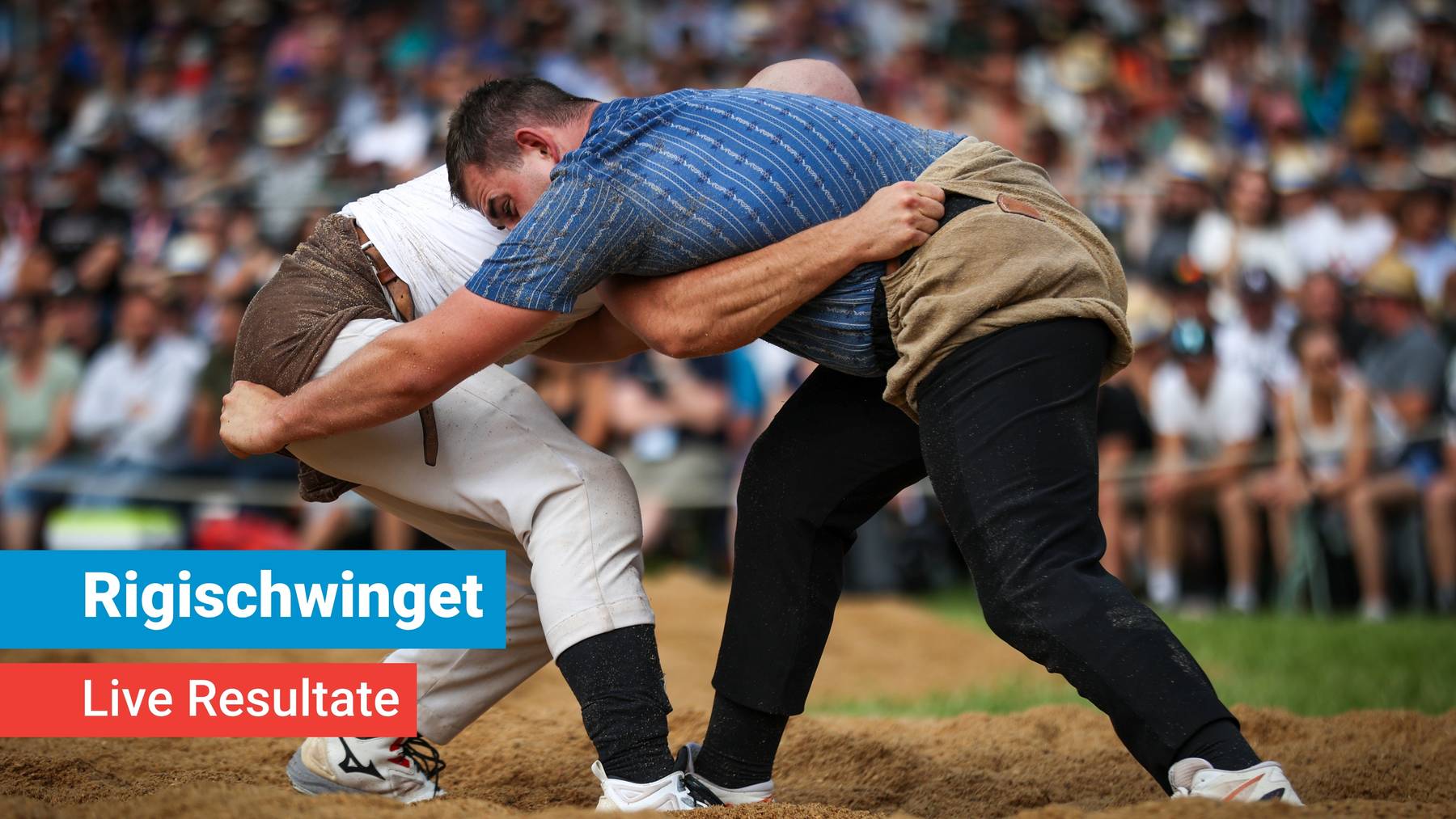 Rigischwinget