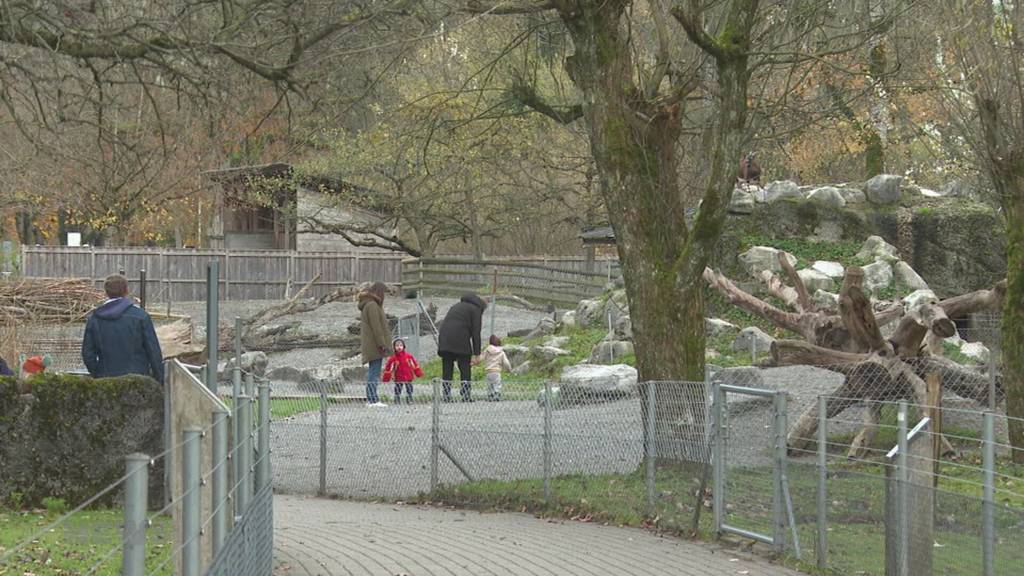 Streichelzoo im Tierpark verschwindet