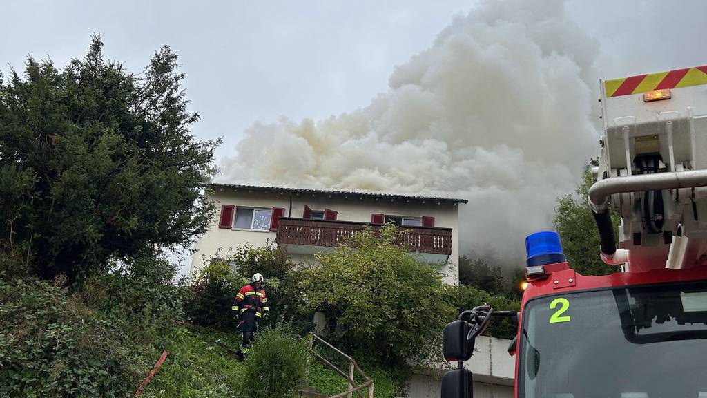 Brand in Rudolfstetten: Sechs Personen müssen ins Spital, Hund und Hamster in Tierklinik