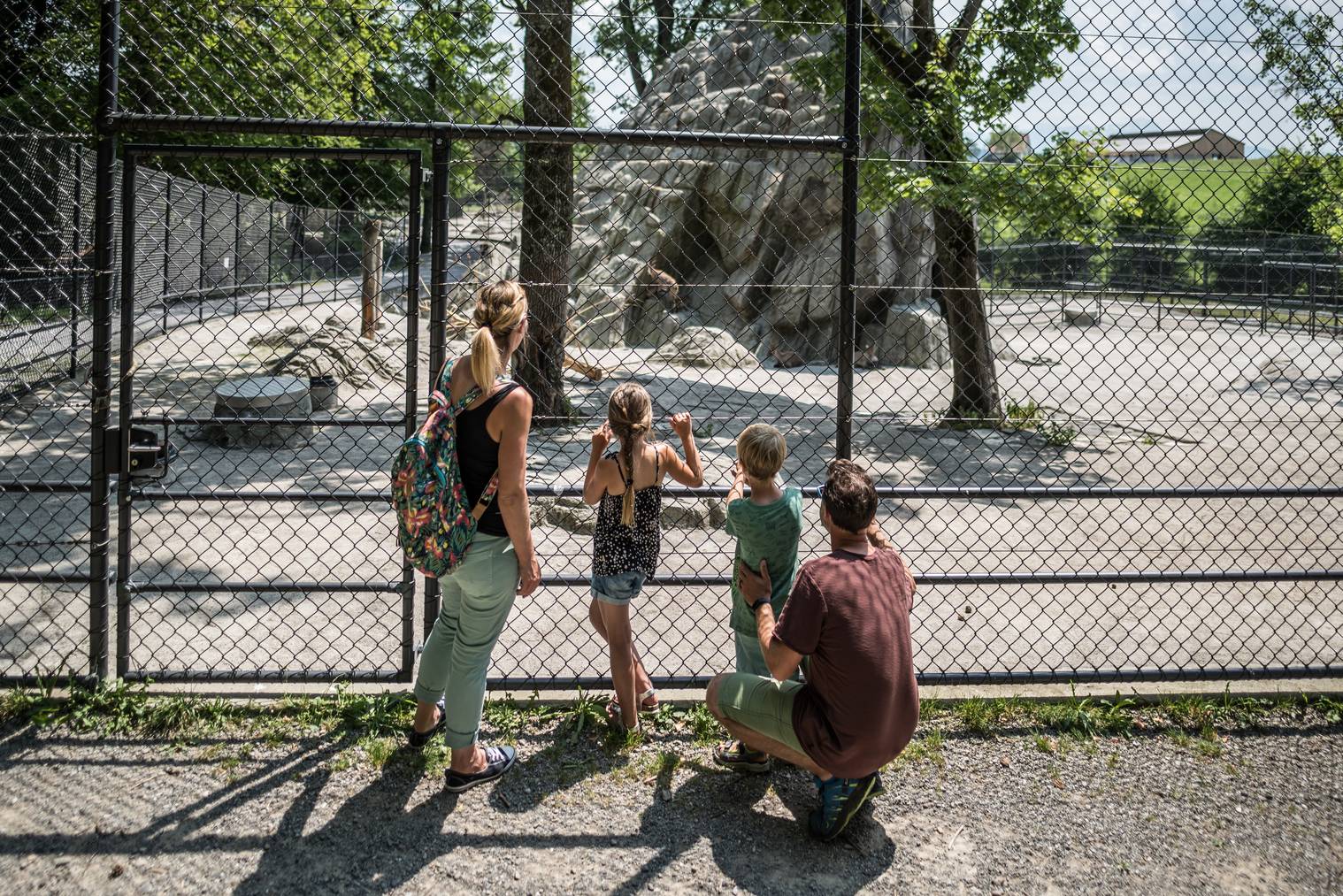 Tierisch gut: ein kurzweiliges Abenteuer für Familien.