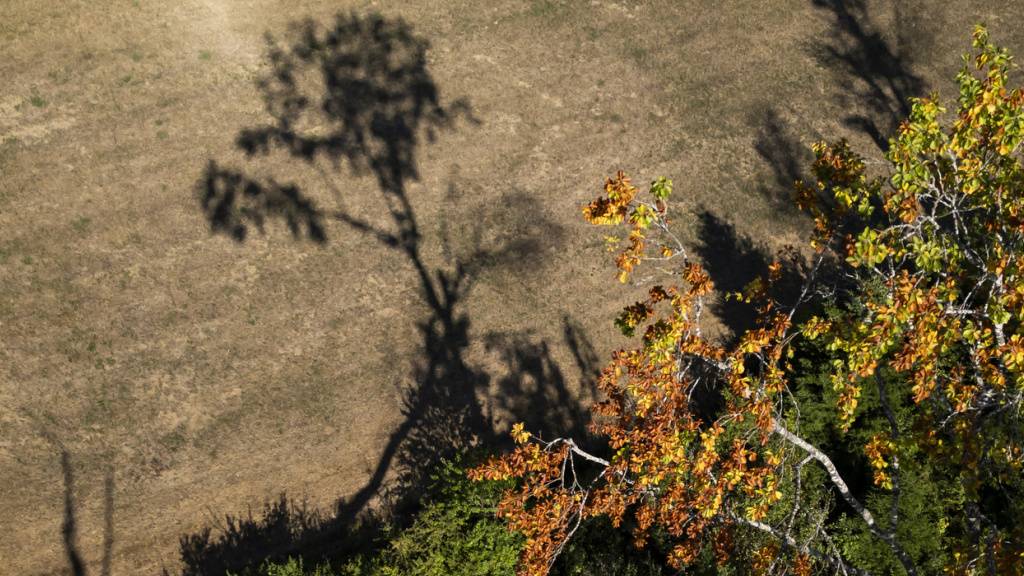 Kanton Luzern warnt vor Gefahren durch trockene Wälder