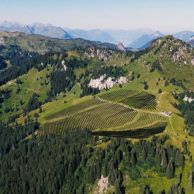 So gross wie 12 Fussballfelder: Riesiger Solarpark im Hoch-Ybrig geplant