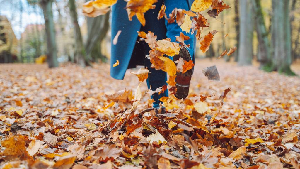 Spazieren gehen im Herbst