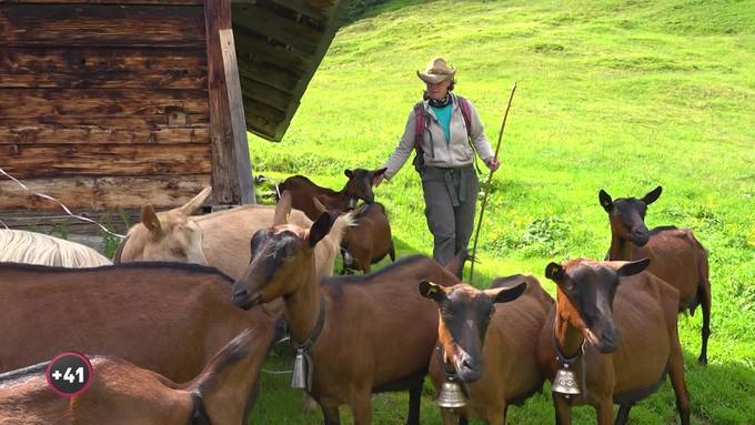 Martina Haller hütet 70 Ziegen hoch über Grindelwald