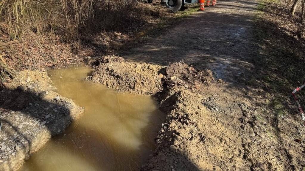 Abwasseraustritt in Winterthur-Sennhof ist gestoppt
