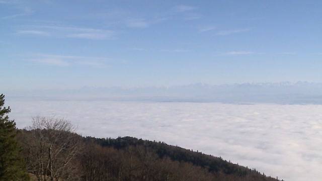 Verkehrte Wetter-Welt