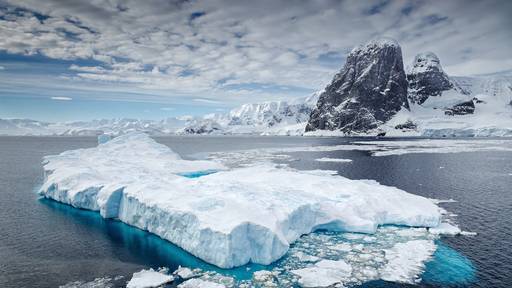 Betrüger ergattern mit erfundenem Antarktisstaat etwa 400'000 Euro