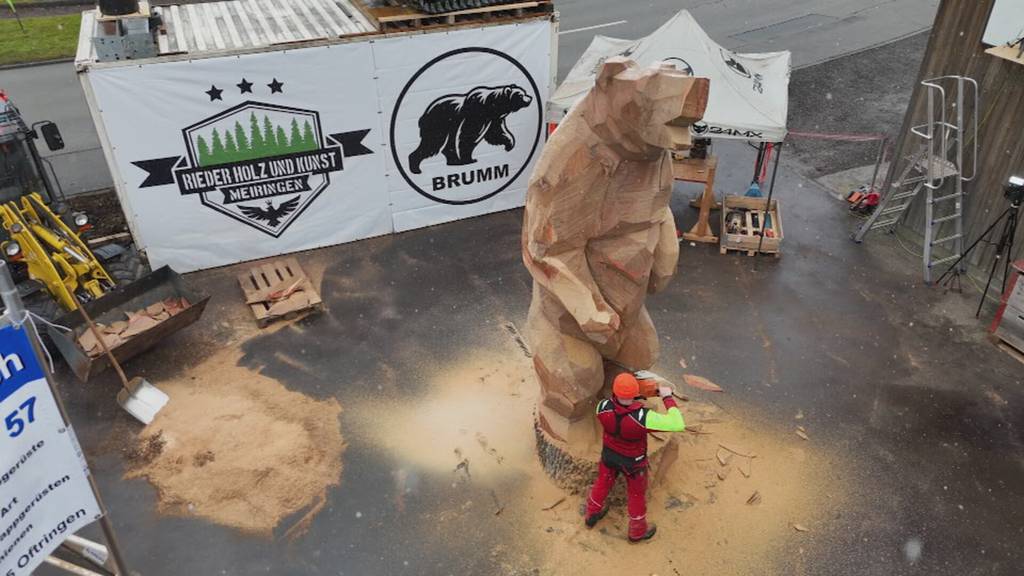 In Malters wird der grösste Holzbär der Schweiz geschnitzt