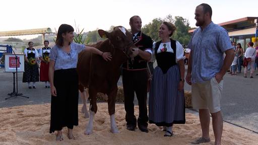 Emmentalisches Schwingfest 2022: Siegermuni «Bond vom Dicki» ist getauft