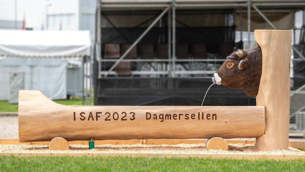 Jetzt live bei Tele 1: Das ISAF in Dagmersellen