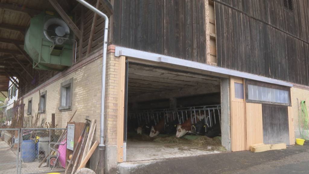 Zwei Bauern, zwei Wege