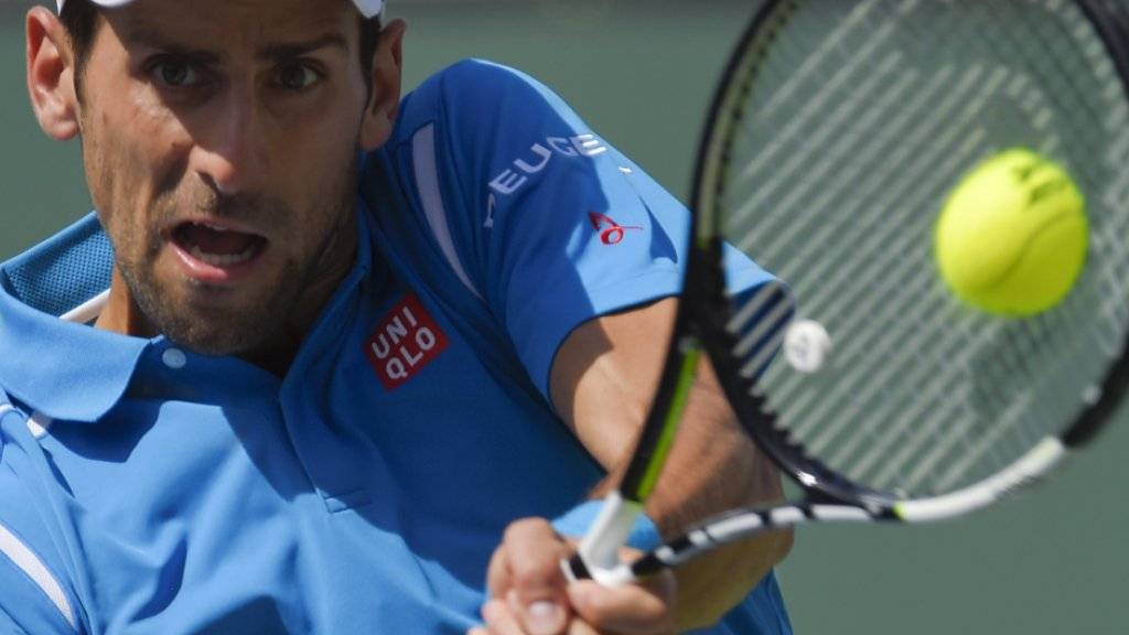 Fokussierter Novak Djokovic fegt im Final Milos Raonic in 78 Minuten mit 6:2, 6:0 vom Platz