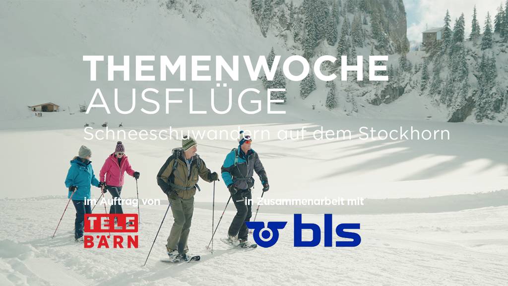 «Schneeschuhwandern auf dem  Stockhorn»