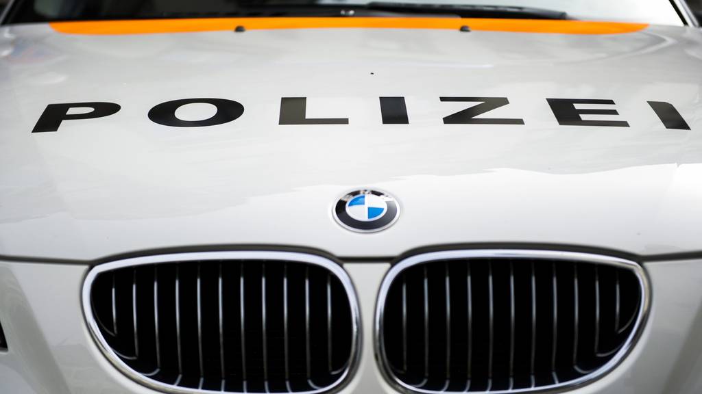 Die Stadtpolizei St.Gallen konnte die Streithähne voneinander trennen. (Symbolbild)