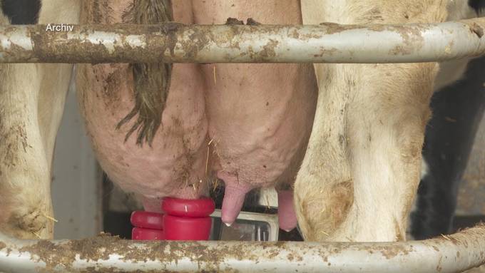 Folgen der US-Zölle: St.Galler Bauernverband mit Forderungen wegen massivem Milchüberschuss