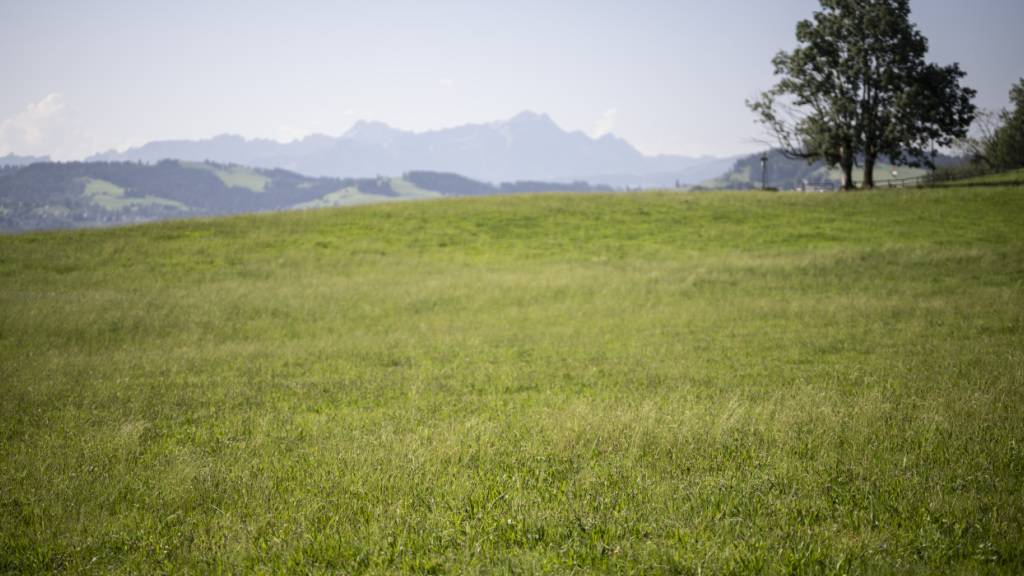 Nach Ansicht der Regierung sollen nur diejenigen Landwirtschaftsböden untersucht werden, bei denen es einen klaren Verdacht auf eine Belastung durch PFAS gibt. (Archivbild)