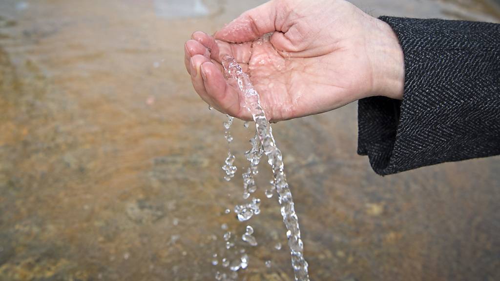 Der Nationalrat will das Gewässerschutzgesetz anpassen, damit synthetische Pestizide, die das Trinkwasser belasten, aus dem Verkehr gezogen werden können. (Themenbild)