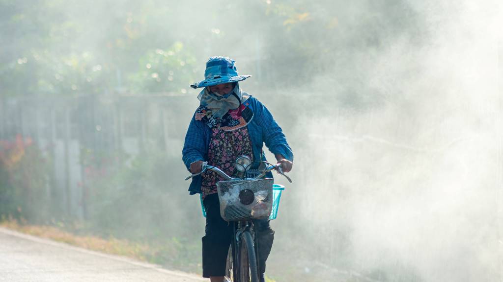Über fünf Millionen Menschen erkrankten bisher wegen dichtem Smog