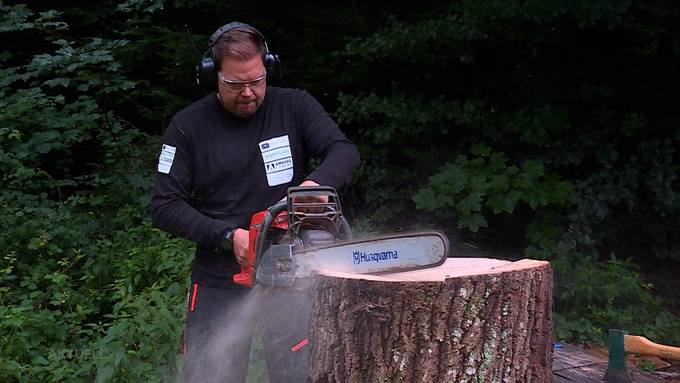 Die Kettensäge ist sein Pinsel, das Holz die Leinwand