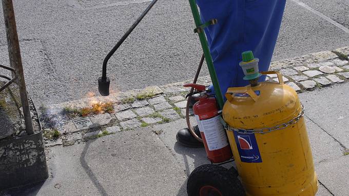 Unkontrollierter Gasaustritt: Lidl ruft Unkraut-Abflammgerät zurück