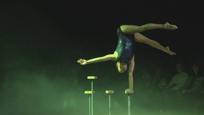 Circus Monti feiert 40-jähriges Jubiläum