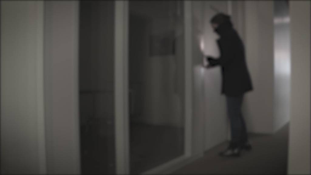 Einsatz von Überwachungskameras