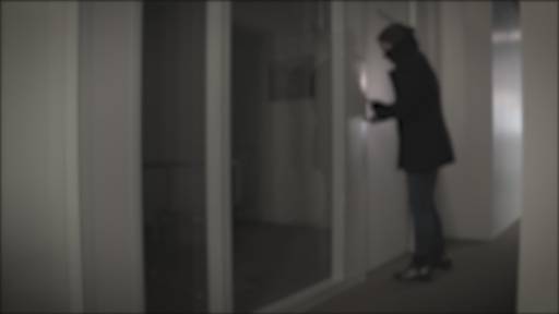 Einsatz von Überwachungskameras