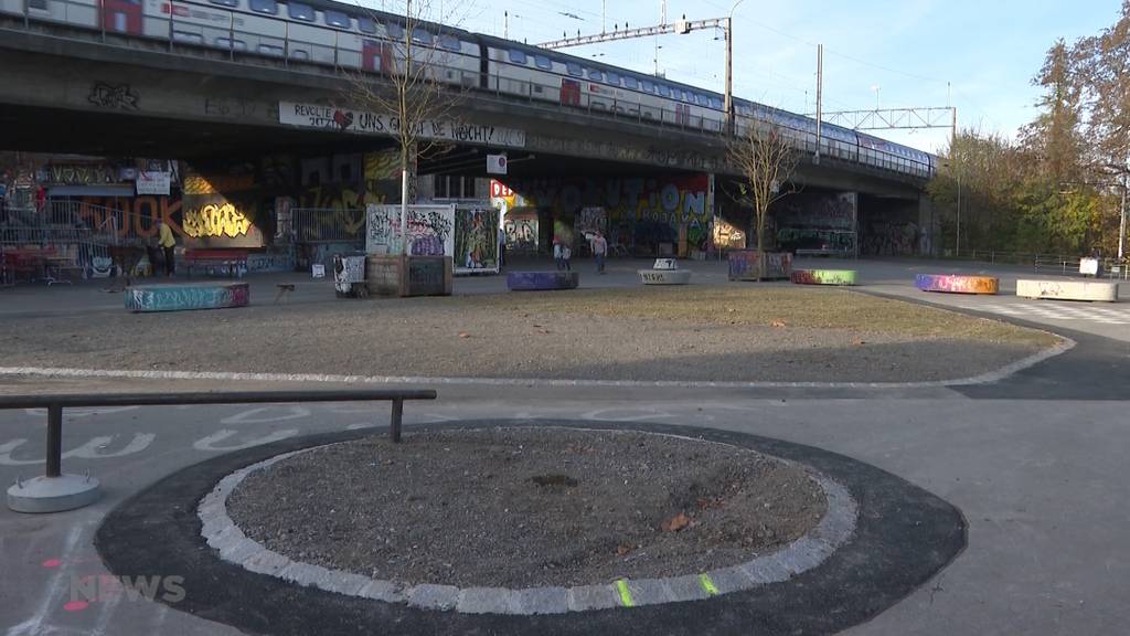 Stadt Bern testet verschiedene Baum-Arten gegen Hitze 