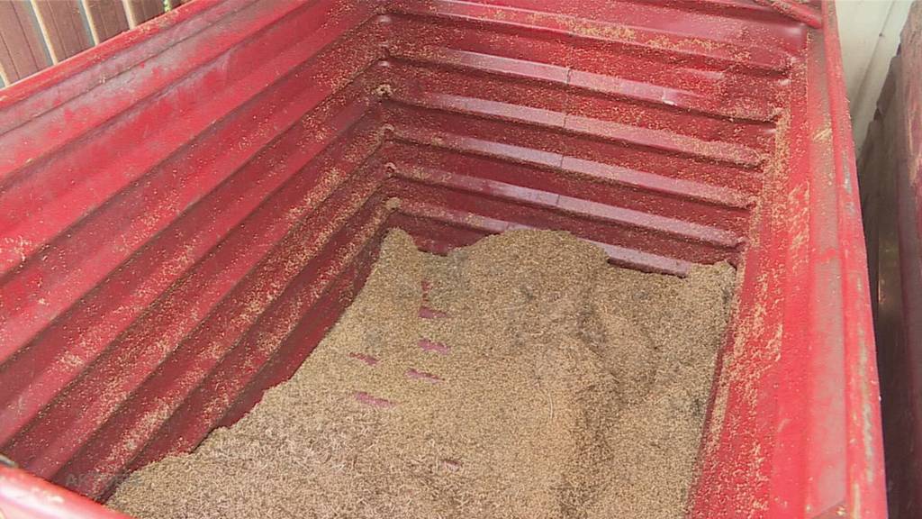 Metalldiebe unterwegs: Langfinger schlagen in Selzach und Lommiswil zu