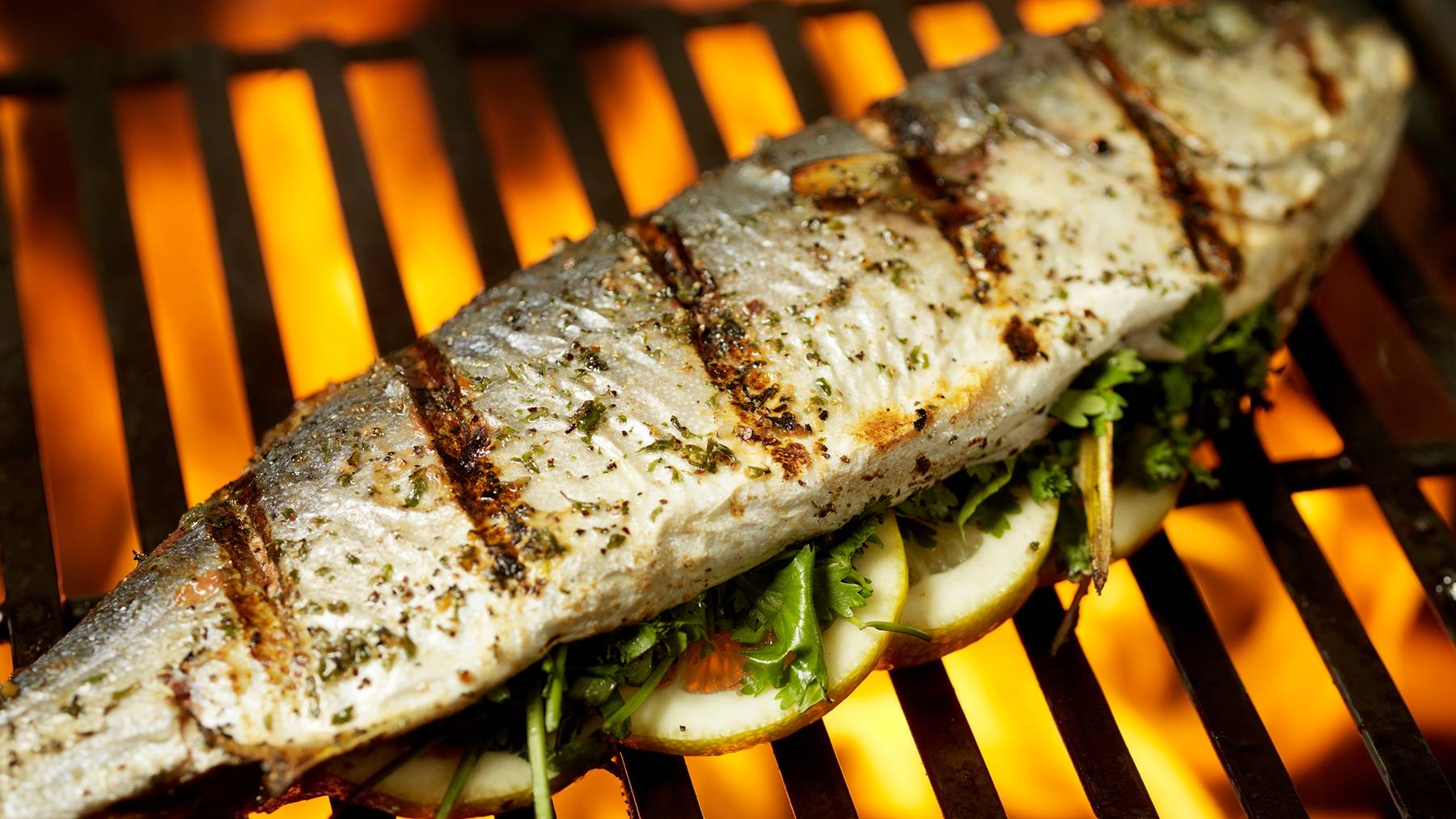 FM1_Aktion_GrillHacks_Beitragsbild