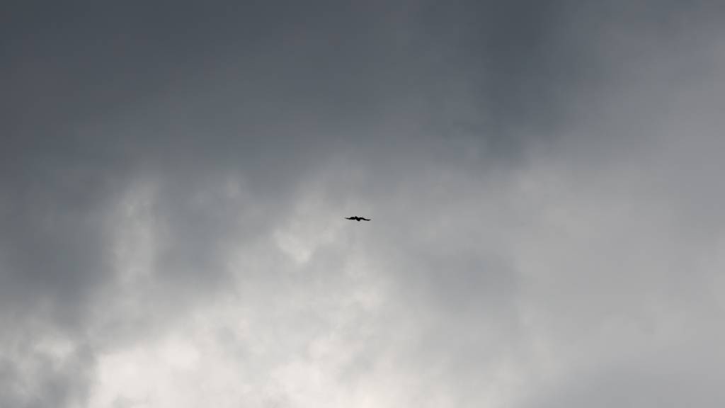 ARCHIV - Ein Raubvogel fliegt am Himmel vor dunklen Wolken. Foto: Rolf Vennenbernd/dpa
