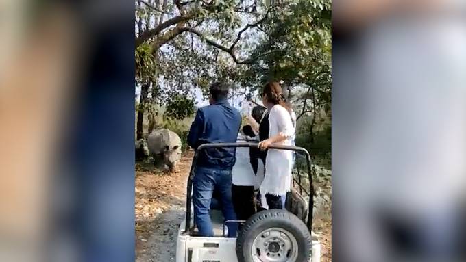 Nashörner attackieren Jeep auf Indien-Safari