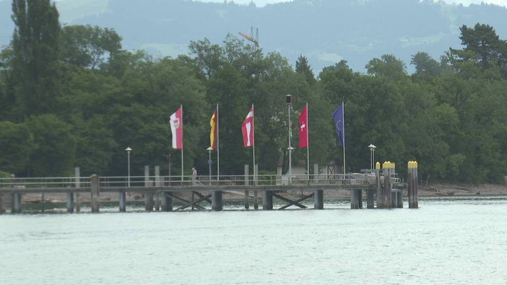 Massnahmenpaket: Bodensee-Konferenz will Quagga-Muschel bekämpfen und Mobilität stärken