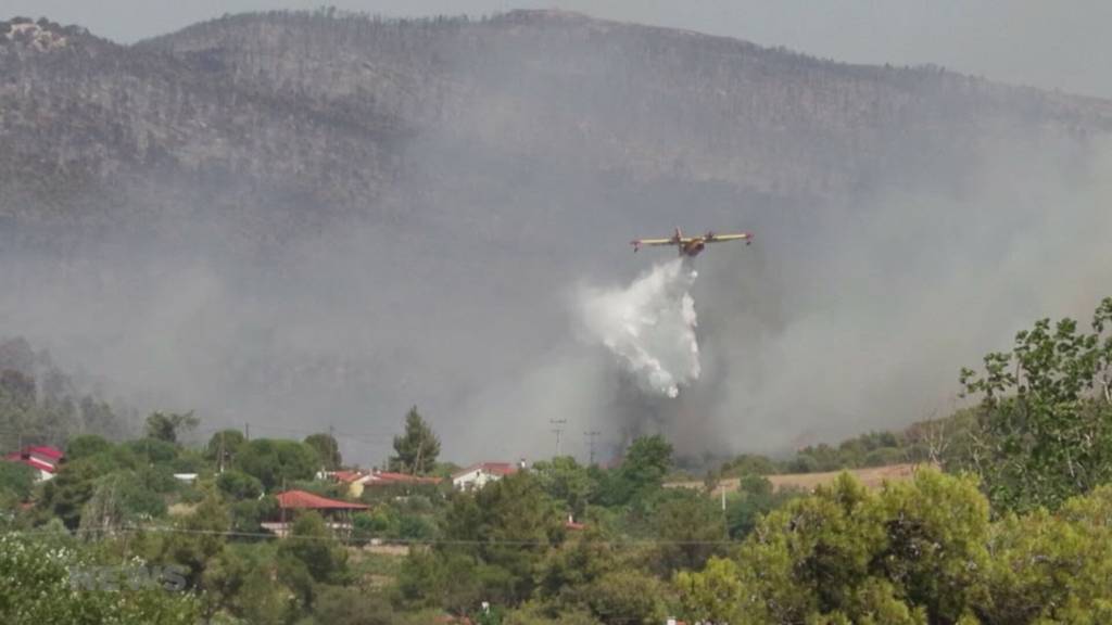 Waldbrände in Griechenland: