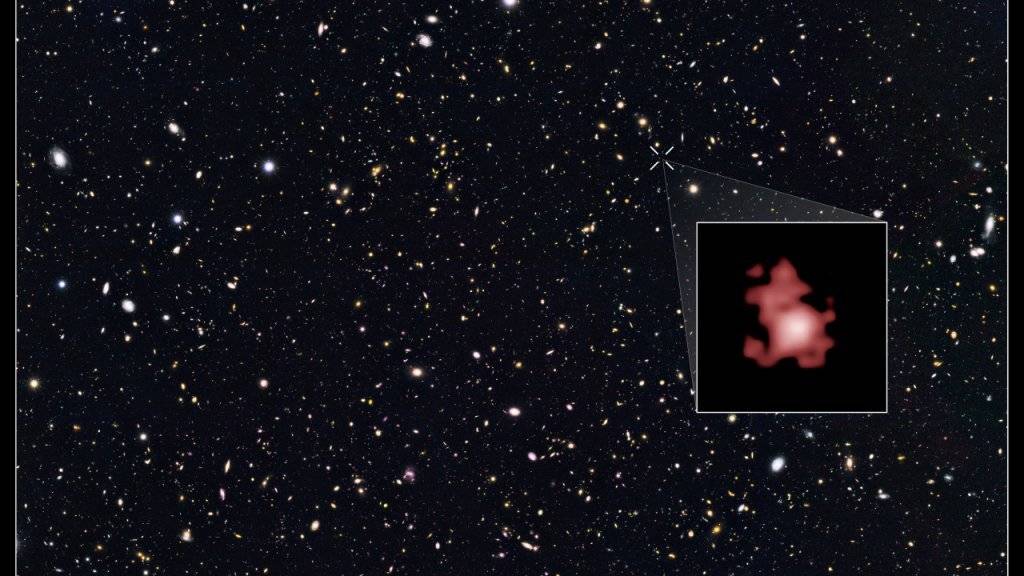 Überraschend hell: Dieses Bild des Instituts STScI zeigt die Galaxie GN-z11.