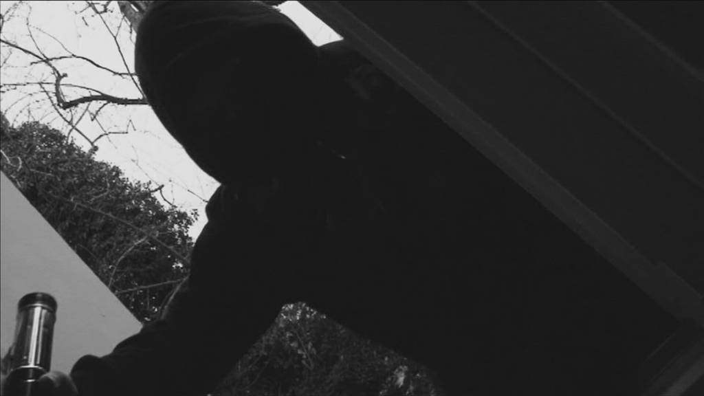 Kantonspolizeien sollen einfacher zusammenarbeiten können