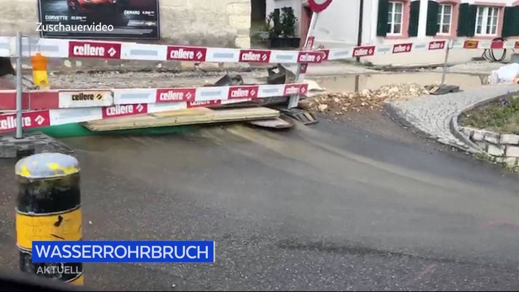 Swissnews